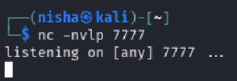 Netcat Listener Waiting on Port 7777